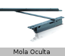 mola-oculta